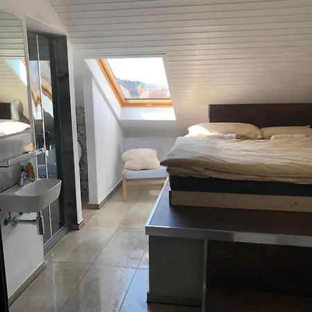 Apartment Krystof